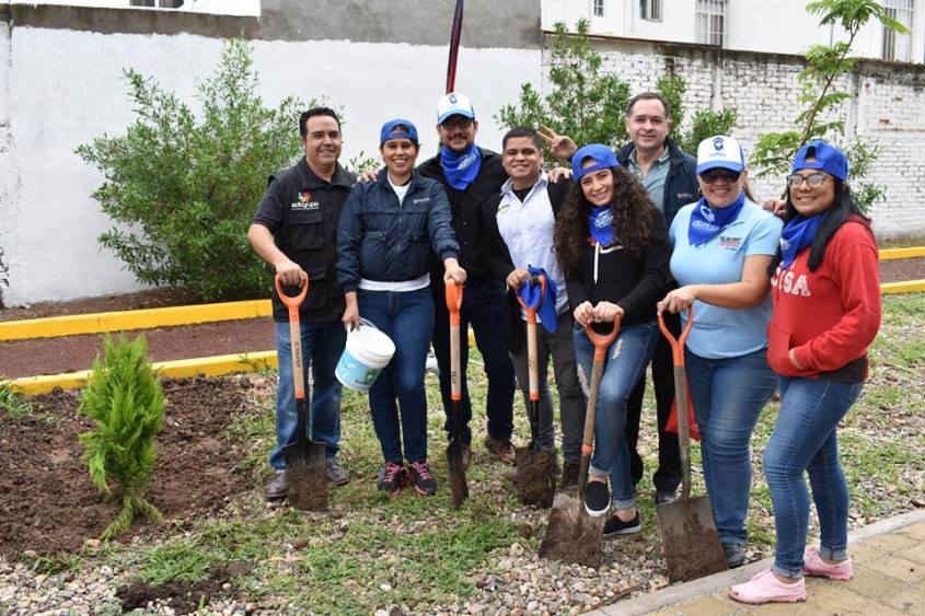 19989531_1361235623984497_2863194371661469253_n