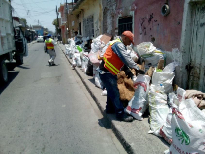 CONTINÚA DESCACHARRIZACIÓN Y NEBULIZACIÓN (5).jpg