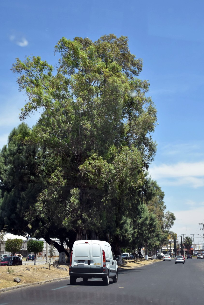 Prevención ante rachas de aire (1).JPG