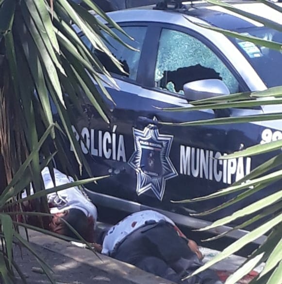 954fff93-3917-4d00-8aa1-631ae29e20e8