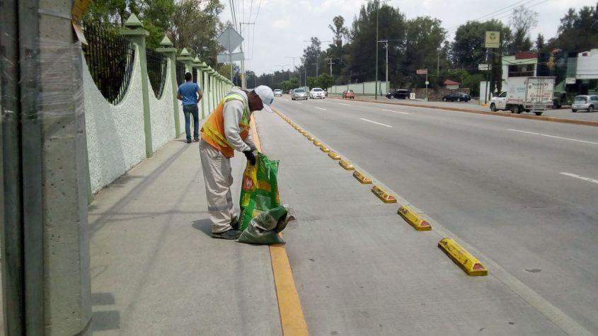 INTENSIFICAN CAMPAÑA DE DESCACHARRIZACIÓN (7)