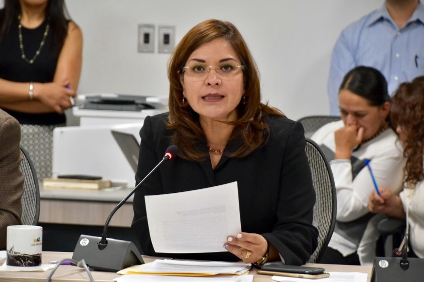 Diputada Elvira Paniagua Rodríguez