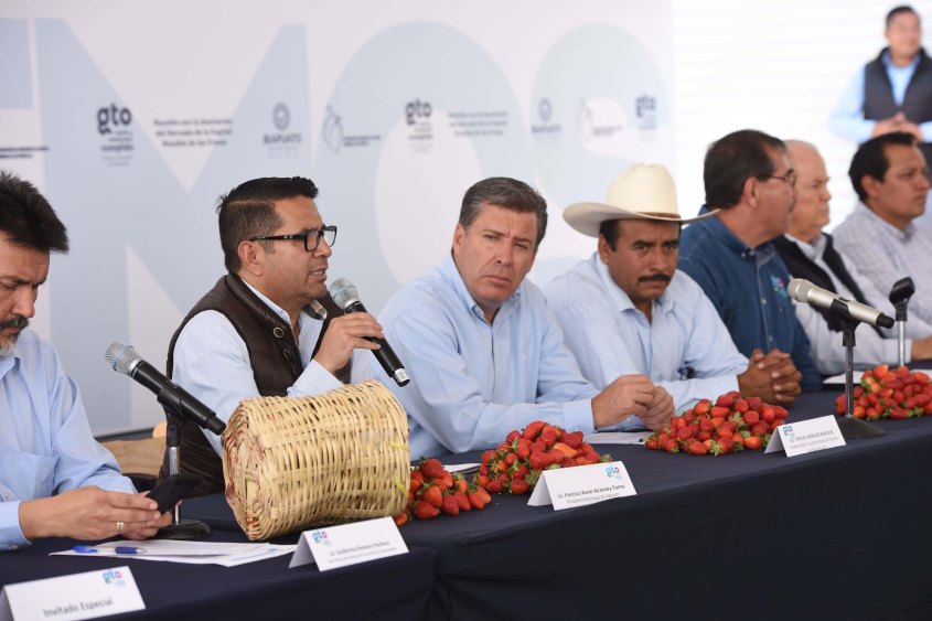 mercado de la fresa (5).JPG