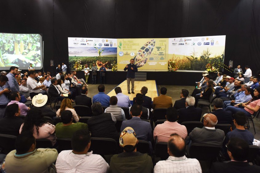 FERIA DEL MAÍZ (5).JPG