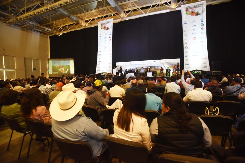 SÉPTIMO FORO AGROALIMENTARIO (4)