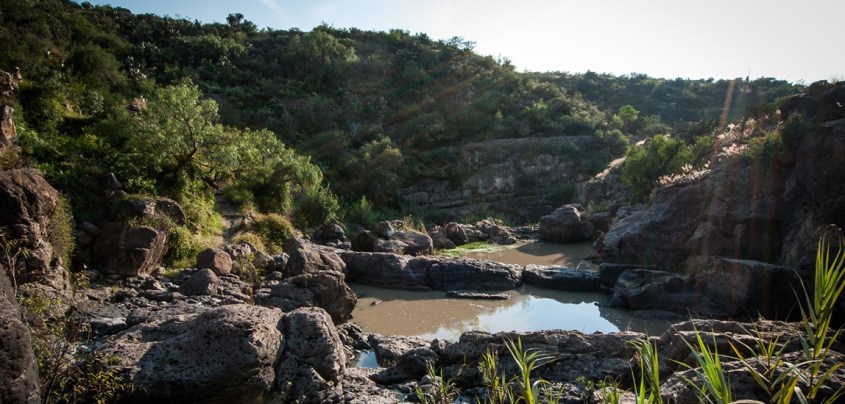 Jardín Botánico Charco del Ingenio.jpg