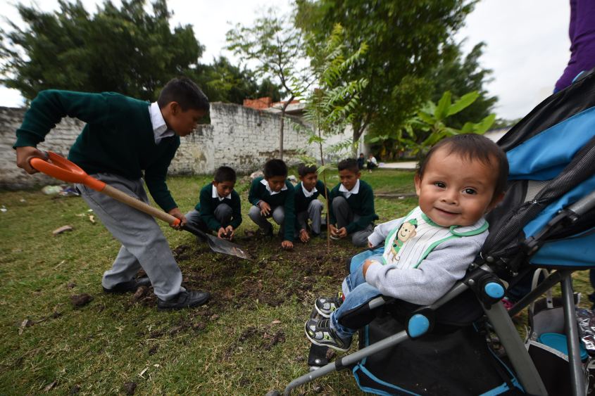 reforestacion comunidad la caja (7).JPG