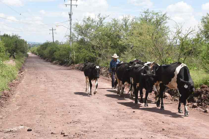 DESARROLLO RURAL (5).JPG